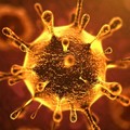 Coronavirus: a Gravina rilevato il ventesimo caso