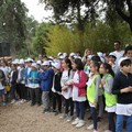 Altamura e Gravina unite nello sport