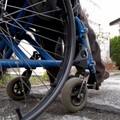 300 firme per chiedere l’accessibilità di parchi e bosco ai disabili