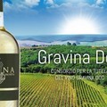 Cenni storiografici della “Verdeca di Gravina in Puglia”