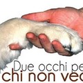  "Due Occhi per chi non vede "