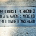Tutti in bosco in Difesa del nostro polmone verde