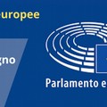 Elezioni europee 2024: informazioni dal Comune