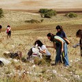 Parco Alta Murgia, attivato servizio “Prenota la tua visita”