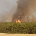 Quarto giorno di fuoco nel bosco, è un disastro