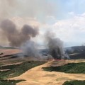 Incendio a Santa Maria d’Irsi, si è temuto per il bosco comunale