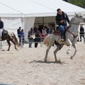 C'è la Fiera degli animali: scuole chiuse Sabato 21 Aprile