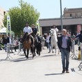 Alla Fiera San Giorgio, spazio agli animali