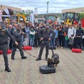 In Fiera Unità cinofile della Guardia di Finanza