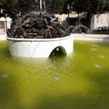 La vasca in villa è il regno delle zanzare