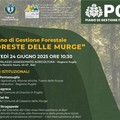 Piano di gestione “Foreste delle Murge”