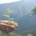 Ambiente: il messaggio positivo della Bibbia