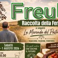 Freul - raccolta della Ferula