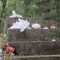 Bosco Difesa Grande: dopo pasquetta è un tappeto di rifiuti