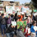 E’ festa dell’albero anche a Gravina