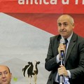 Pac 2014-2020: dubbi e aspirazioni dell’imprenditoria locale