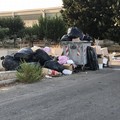 Zona industriale: sporcizia e randagismo suscitano il malcontento negli imprenditori