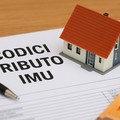 Aliquota IMU, Calculli-Quercia replicano a Vicino
