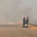 Arriva l’estate, scoppiano gli incendi