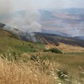 Domenica di fuoco: bruciano ottanta ettari