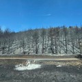 Incendi: oltre 7.900 nei comuni dell’Alta Murgia