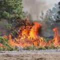 Incendi boschivi: al Comune 100 mila euro