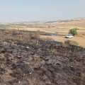 Spenti gli incendi che ieri hanno infiammato la Murgia