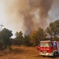 Il bosco brucia di nuovo, vasto fronte del fuoco