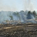 Incendio nei pressi della zona archeologica Padre Eterno