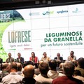 “Leguminose da granella per un futuro sostenibile: le buone pratiche dell’azienda Lofrese”