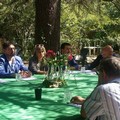 Utilizzo dei reflui trattati, affinati per le operazioni di antincendio boschivo e riuso ambientale del SIC "Bosco Difesa Grande "