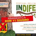 Rinviato il Festival dell'Albero “Indifesa”