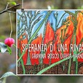 Mostra Pittofotografica:  "Gravina e il suo Bosco Difesa Grande - Speranza di una rinascita "