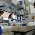 Bollettino coronavirus, i dati di Gravina e della Puglia