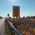 SP La Tarantina, qualcosa si muove