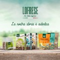 LOFRESE SPA amplia la gamma di prodotti