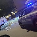 Non un lupo, ma un cane cecoslovacco