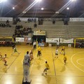 Volley, una Magis da record