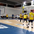 La Casareale Volley torna a vincere: Ostuni liquidato 3-1