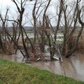 Maltempo: campi allagati, si contano i danni nella Murgia