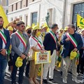 Emergenza cinghiali, Comune a sostegno degli agricoltori