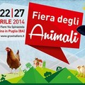 Programma Fiera San Giorgio 2014