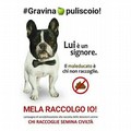 #melaraccolgoio!, contest fotografico a premi rivolto ai padroncini degli amici a 4 zampe