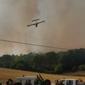 Vasto incendio nel bosco comunale Difesa Grande