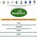 Presentazione della misura 312 az. 1-2