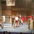 Altamura in the ring, ottima prestazione per Monitillo