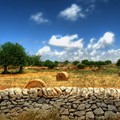 Valorizzare il patrimonio, Gravina  "abbraccia " Matera