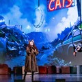 Successo travolgente per il musical “CATS” dell’Accademia Arabesque Movie Dance
