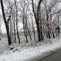 Colpo di coda dell'inverno nell'Alta Murgia