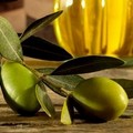 Pac, la Puglia contro i tagli all'olivicoltura